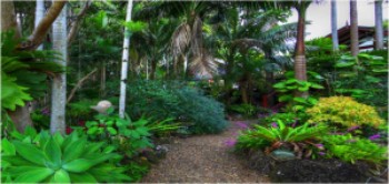The Rainforest at Maleny Tropical Retreat