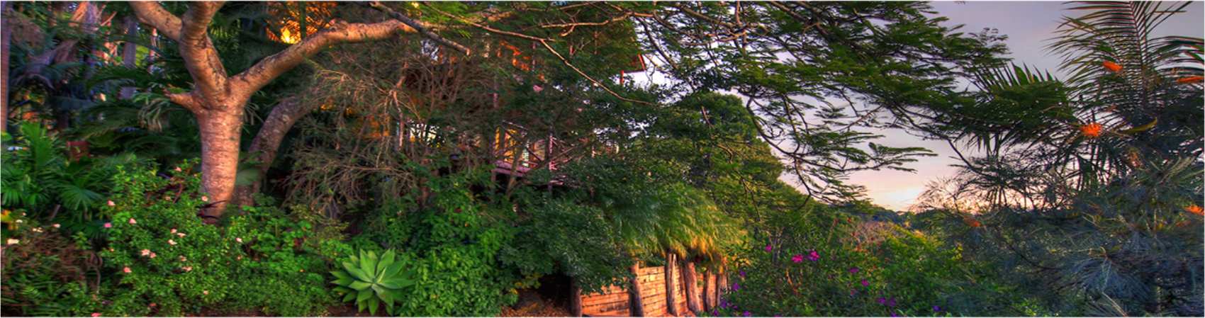 Maleny Bed & Breakfast