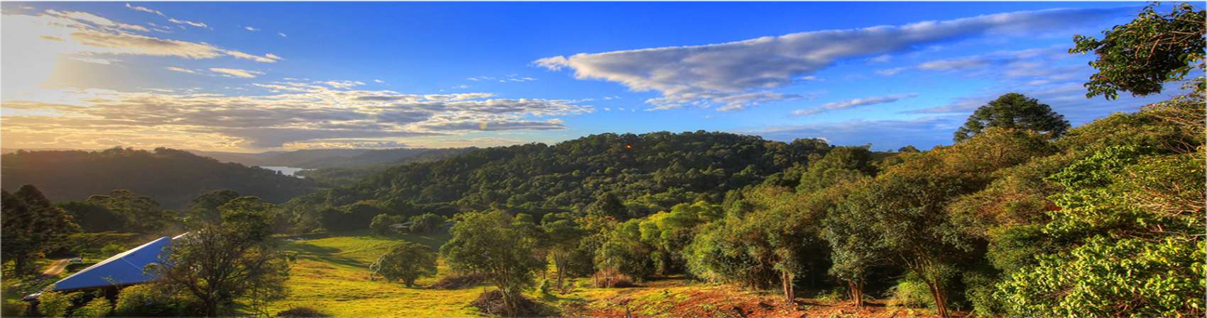 Maleny Bed & Breakfast